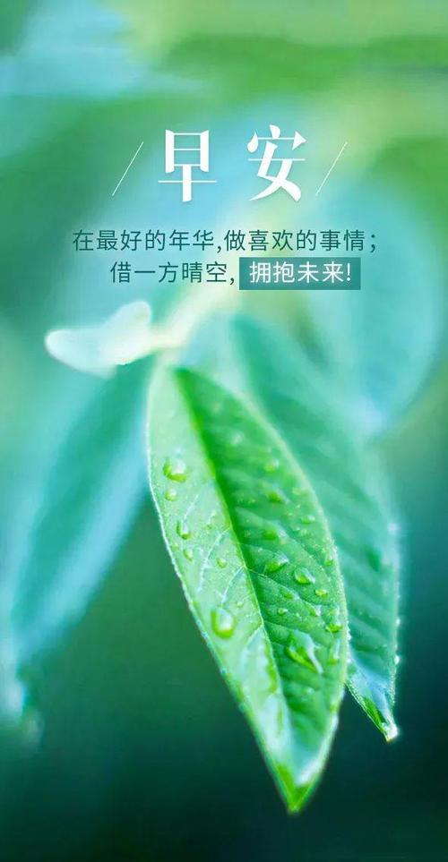 经典心灵鸡汤好句 经典心灵鸡汤好句