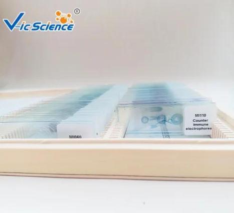 永久装片视频