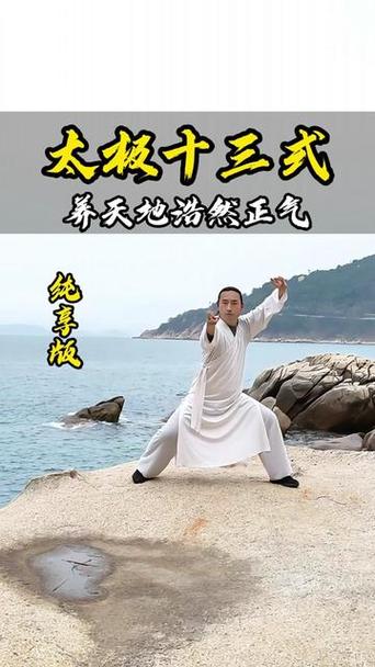 李在峰养正十三式口令版