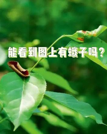 免费隐藏应用的软件下载