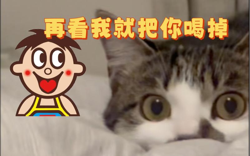 旺仔最火三句广告语