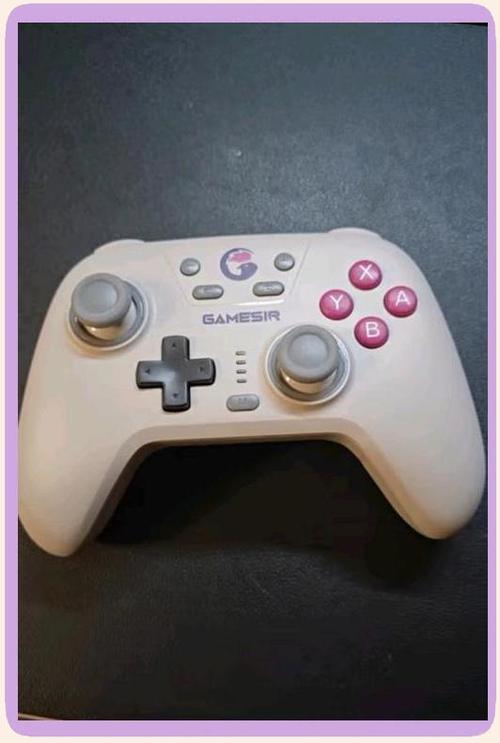 盖世小鸡g6手柄说明书