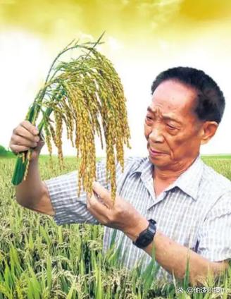 农业最旺的三个名字