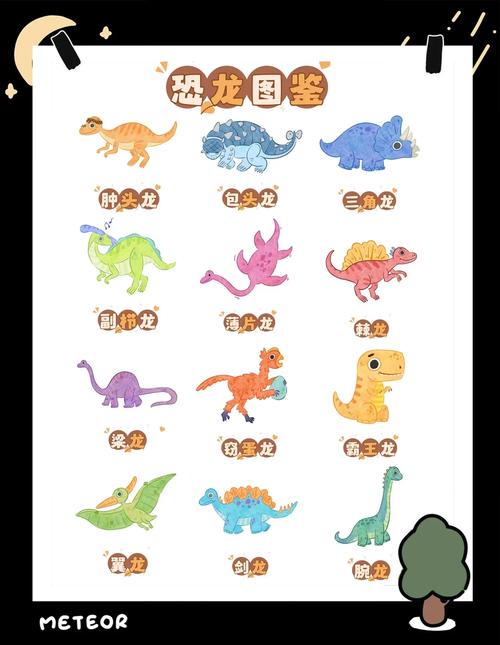 小辰生物全集合集