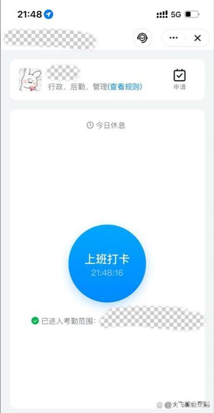 钉钉打卡特别版闪退截图2