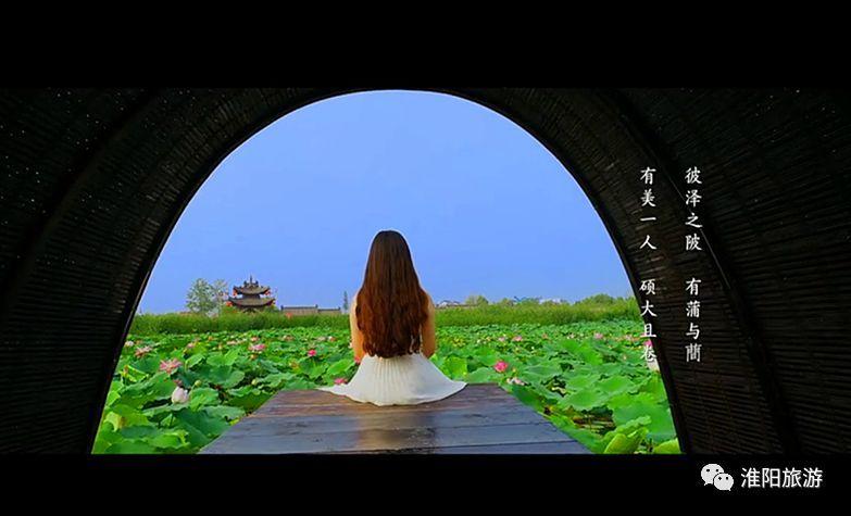 莲花的象征意义