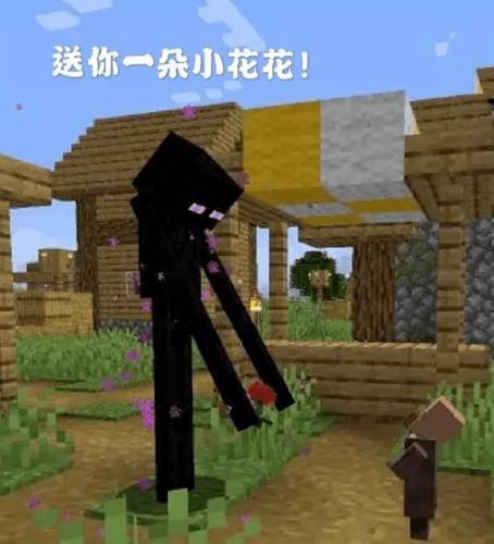 末影人可以搬运原石吗