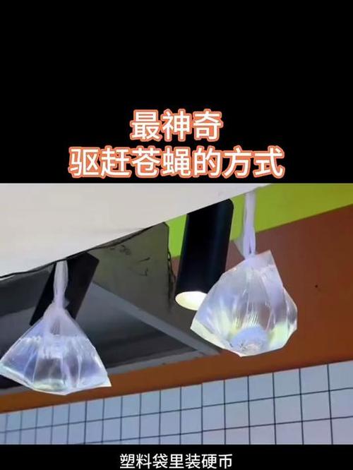 驱赶苍蝇的方法截图2