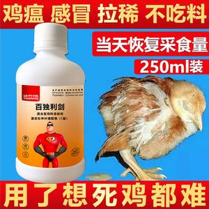 鸡得病了喂什么药