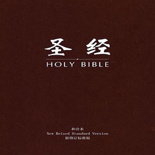 下载基督教圣经书
