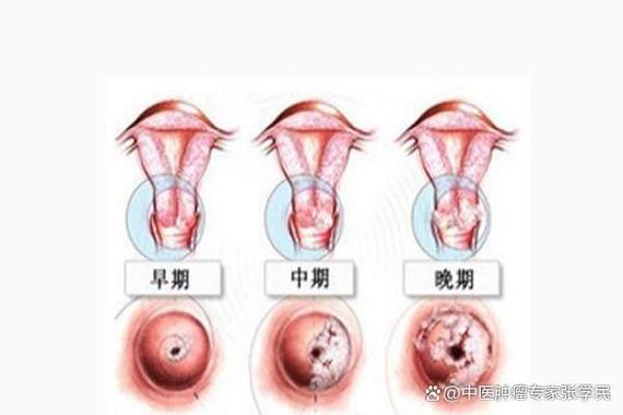 与妇女对应的男性统称