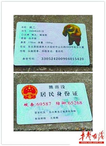 熊出没蹦蹦的身份证