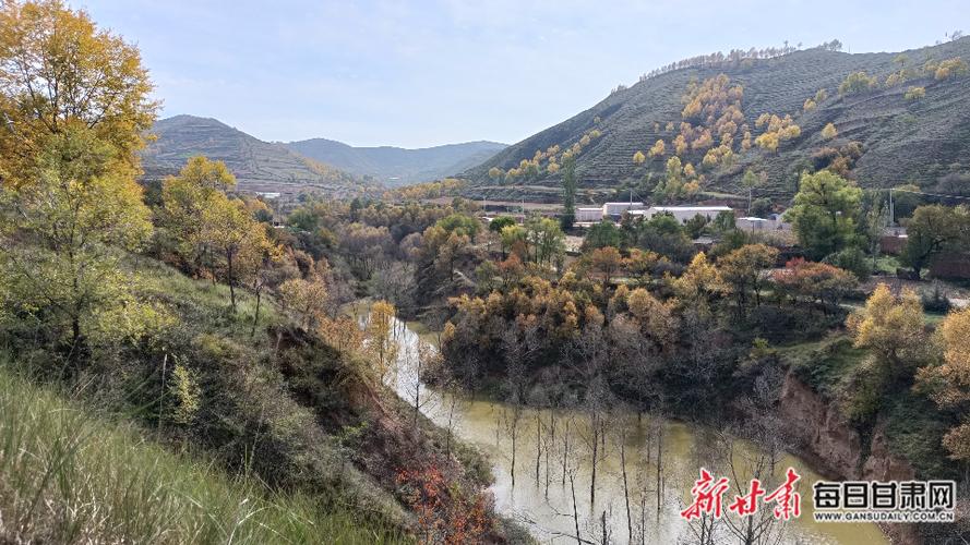 绿坝截图3