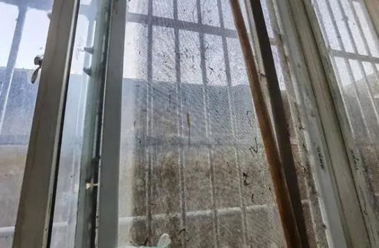 dyson吸尘器灰倒不出来