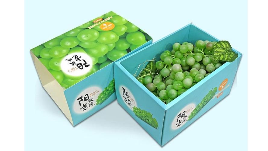 韩国阳光玫瑰葡萄