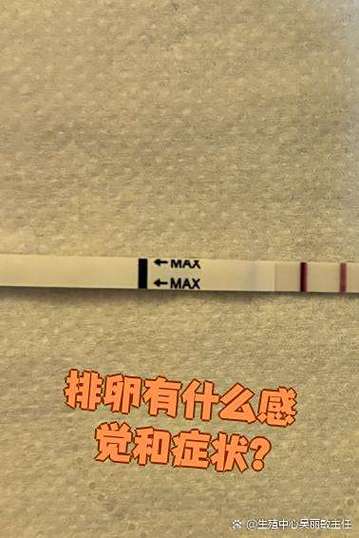 排卵有什么感觉和症状