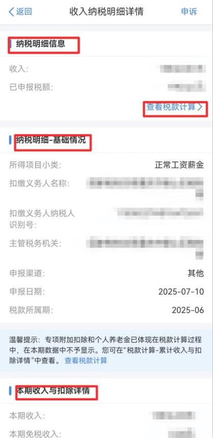 个人所得税怎么查看自己交了多少税