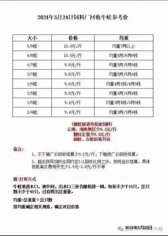 牛蛙养殖前景及价格