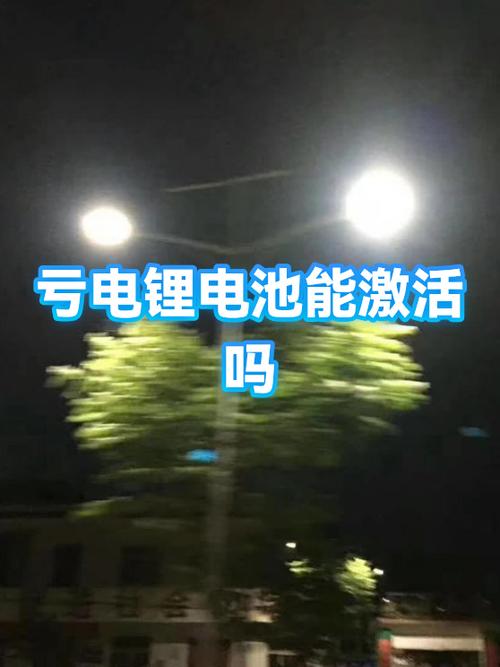 电池亏电激活截图3