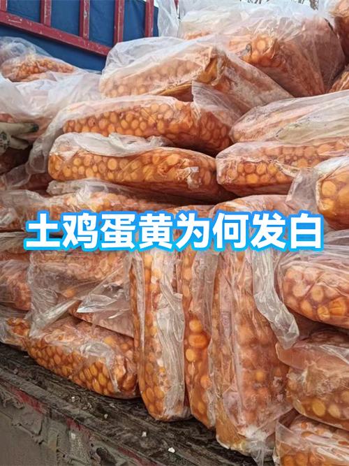 土鸡蛋蛋黄偏白的原因