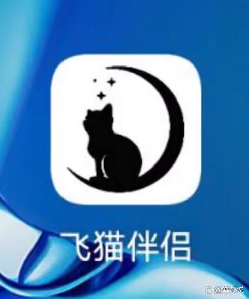 飞猫伴侣多少钱一个