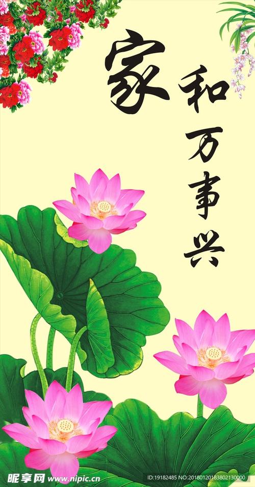 荷花最火的一句广告语