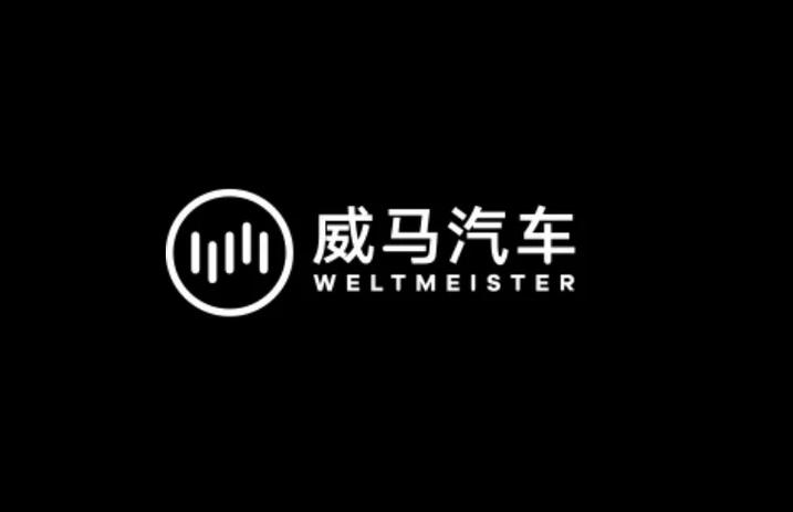 威马汽车使用说明书截图2