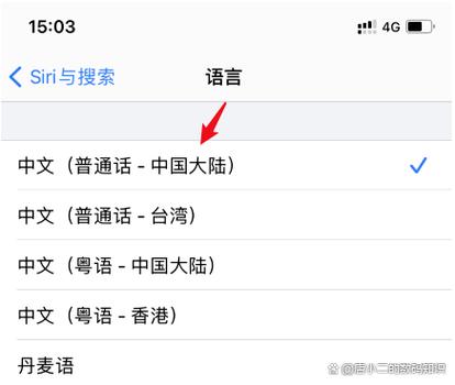 苹果6s地图语言设置在哪里