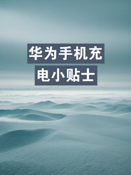 华为手机充电口潮湿提醒解决方法