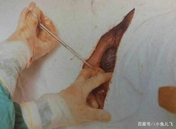 什么样的女人生孩子好看