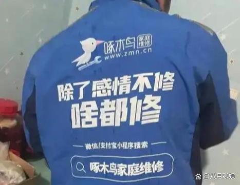 啄木鸟维修师傅接单