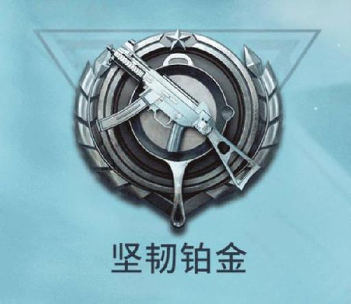 和平精英勋章
