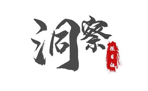 洞察