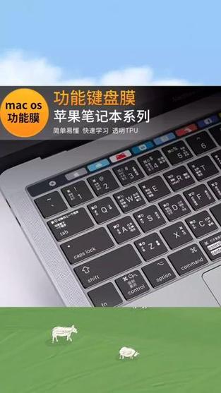 笔记本建议用键盘膜吗
