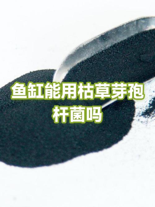 人吃的益生菌可以放鱼缸里么