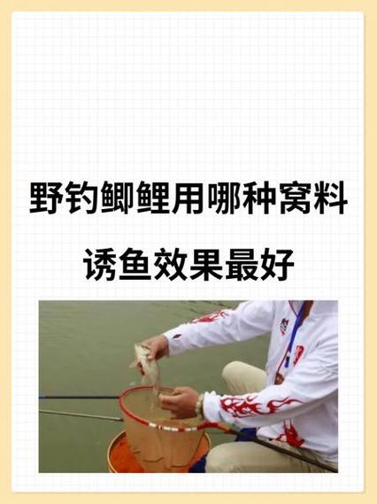 鱼窝料添加维生素B几