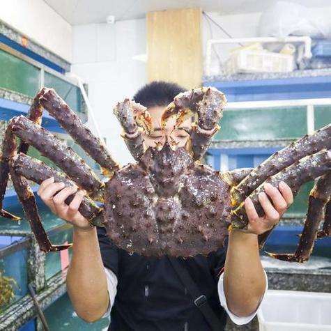帝王蟹
