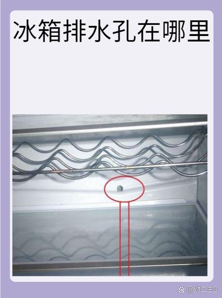 冰箱冷冻室排水孔在哪里