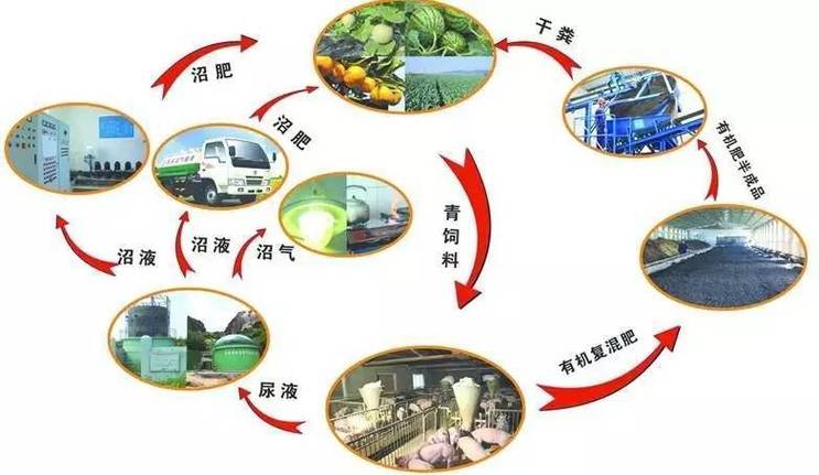 种养结合的生态农业模式