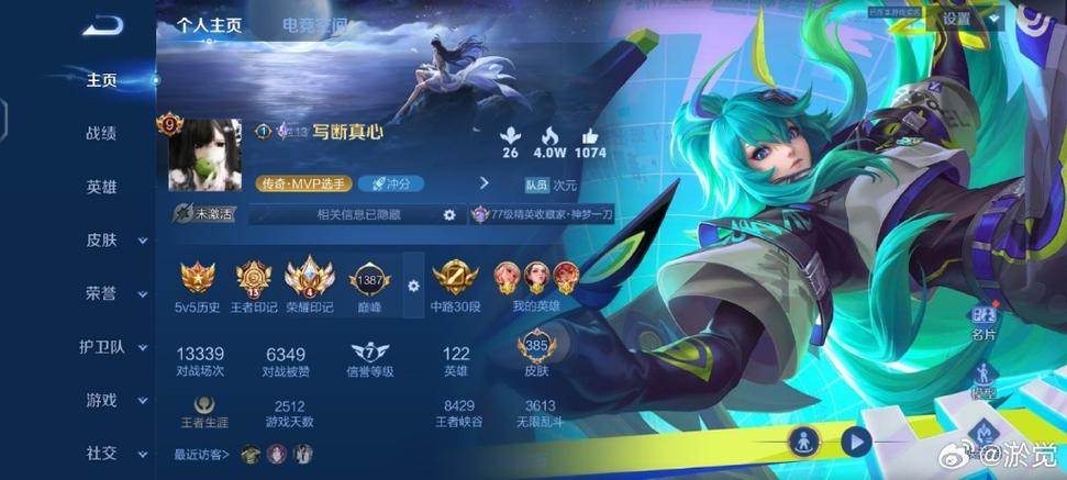 王者亮标