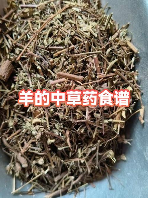 食用油喂羊正确方法 食用油喂羊正确方法