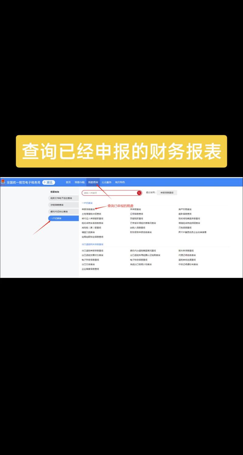 新中大财务软件财务报表查询截图1