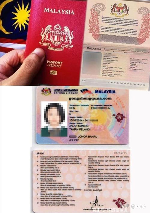 马来西亚的福利政策截图3