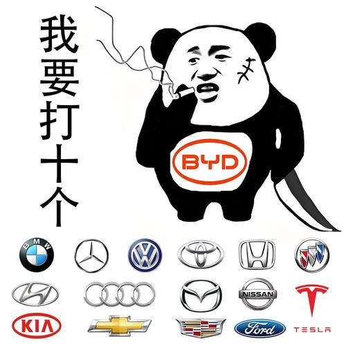 比亚迪表情包