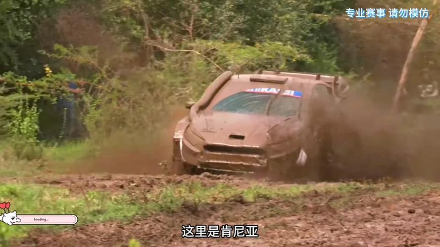 wrc拉力赛视频回放