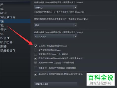 Steam选择启动选项