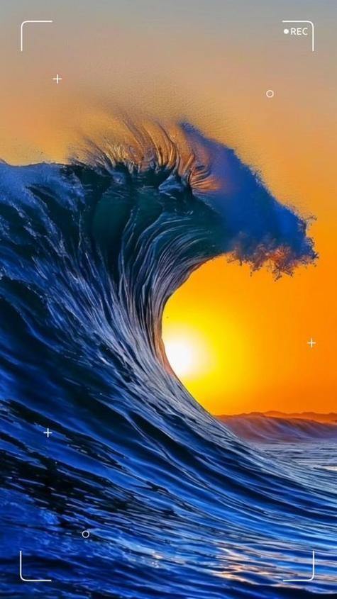 听海浪声发朋友圈