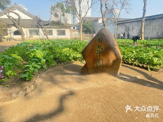 百草园app的使用方法