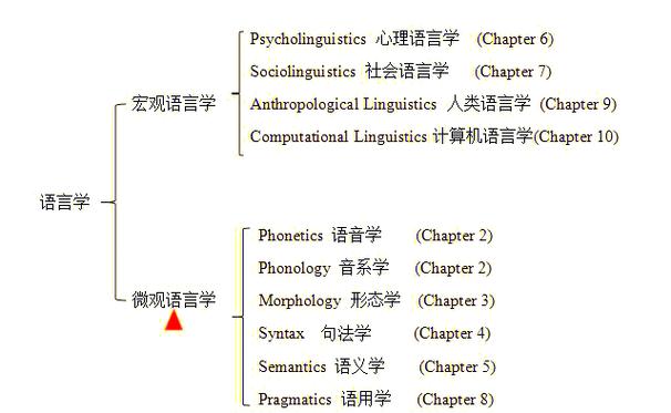 英语语言学的三大理论