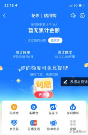 支付宝先用后付3000额度